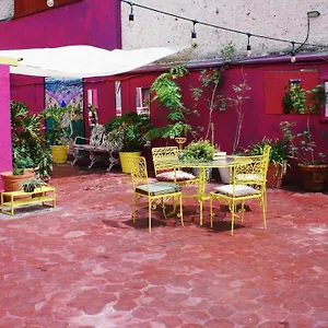 https://casa-kush.guadalajarahotels.info