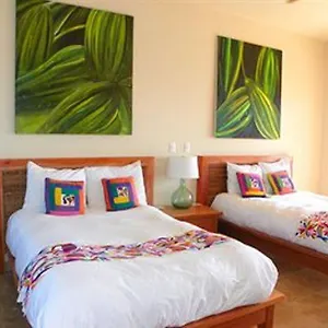 https://cardon-adventure-resort.mazatlan-hotels.com